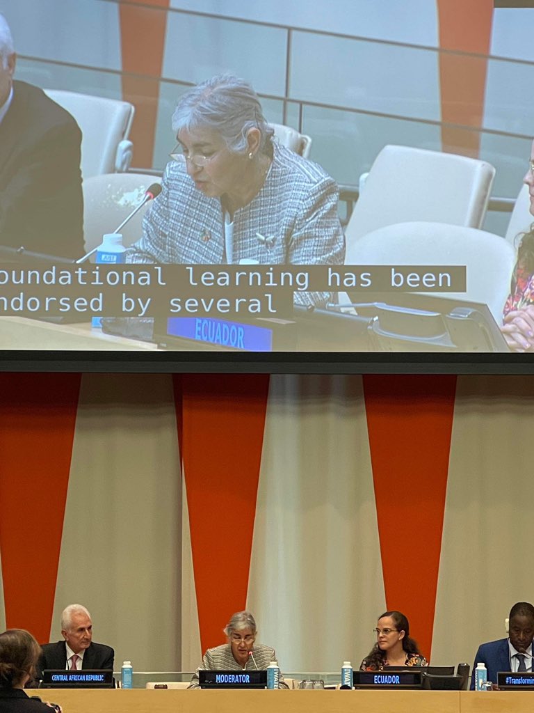 FernandoReimers's tweet photo. professor Eleonora Villegas-Reimers @BUWheelock chairing panel on the imperatives of foundational learning at The Education Summit @un https://t.co/TY3RceJWz8