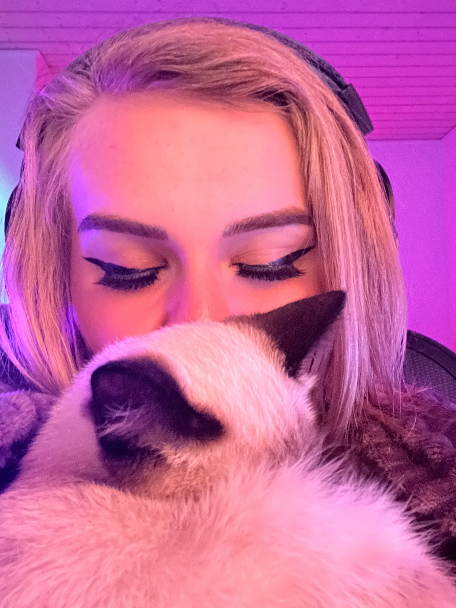 G2 Cailee on Twitter: "Cat https://t.co/GAa9a9CbBK" / Twitter