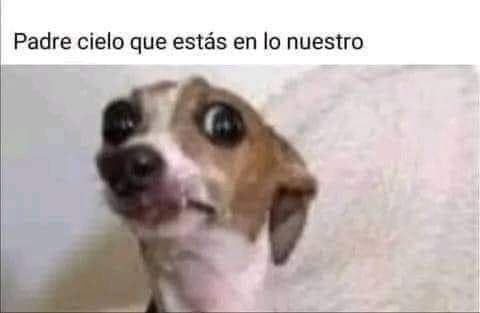 CountessMonDuck's tweet photo. 19 de Septiembre y ya temblando en León #Temblor https://t.co/hlKTOPjBLQ