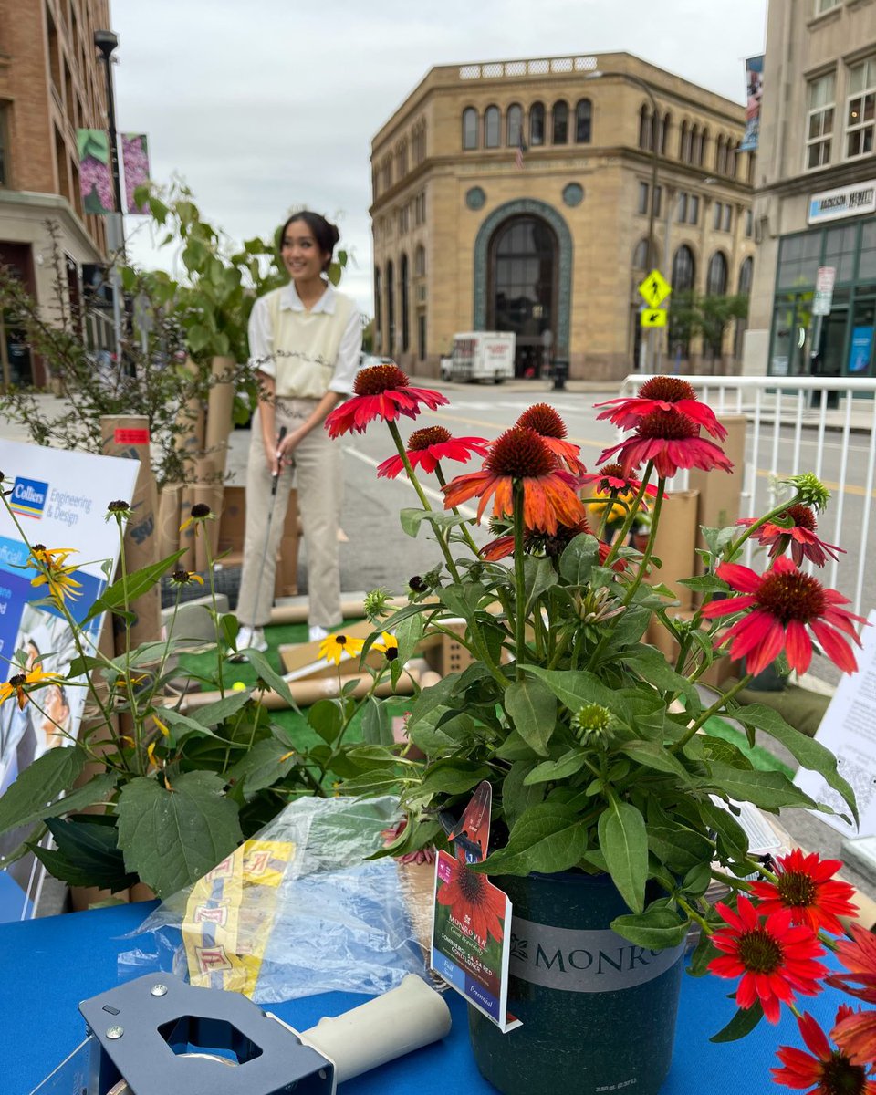 Bergmann tweet media