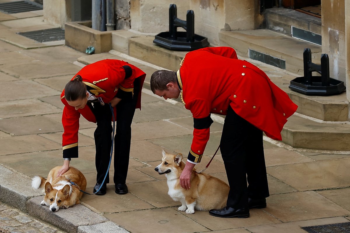 voguemagazine's tweet photo. Scenes from Queen Elizabeth II's state funeral today. The royal procession marched through London in a powerful display, from Westminster Hall, where the coffin has been lying in state, to Westminster Abbey for the funeral service. https://t.co/skNfXuO7aG https://t.co/65DHpuvAdI