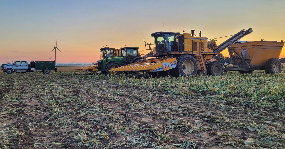 blaramie4955's tweet photo. Sweet Corn Sunset 2!!! #SweetCorn2022 #OxboInternational #Bonduelle #Oxbo8530 #JD8245R #Oxbo8430 🌽🌽🌽 Blenheim, ON 🇨🇦🇨🇦 https://t.co/knMe1dFUOd