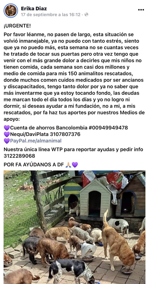 #ATENCION  #URGENTE @NoticieroAnimal @noamaltratoanim @mas_medellin @FundacionOrca @Fundacionmia @funda_patitas @AnimalesBOG #URGENTE #unidosyenvictoria #animales @VickyDavilaH @CGurisattiNTN24 @lcvelez @noamaltratoanim