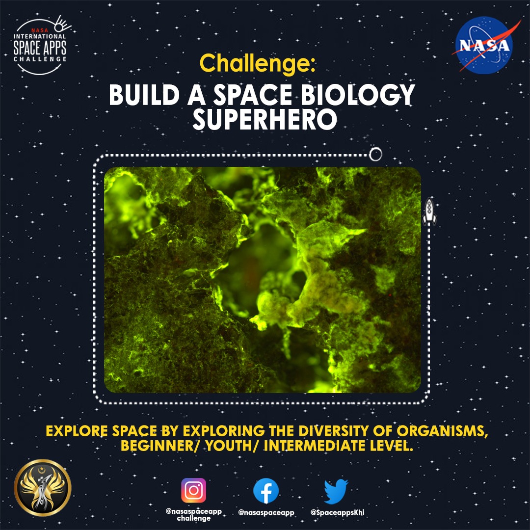 chupp_bayyy's tweet photo. Explore space by exploring the diversity of organisms,
beginner/ youth/ intermediate level.
#nasa #nasaspaceapp #nasa2022
#nasakarachi #Space #SpaceX
#superhero #biology #Karachi
#organism #Diversity https://t.co/Jz1JlCcu34