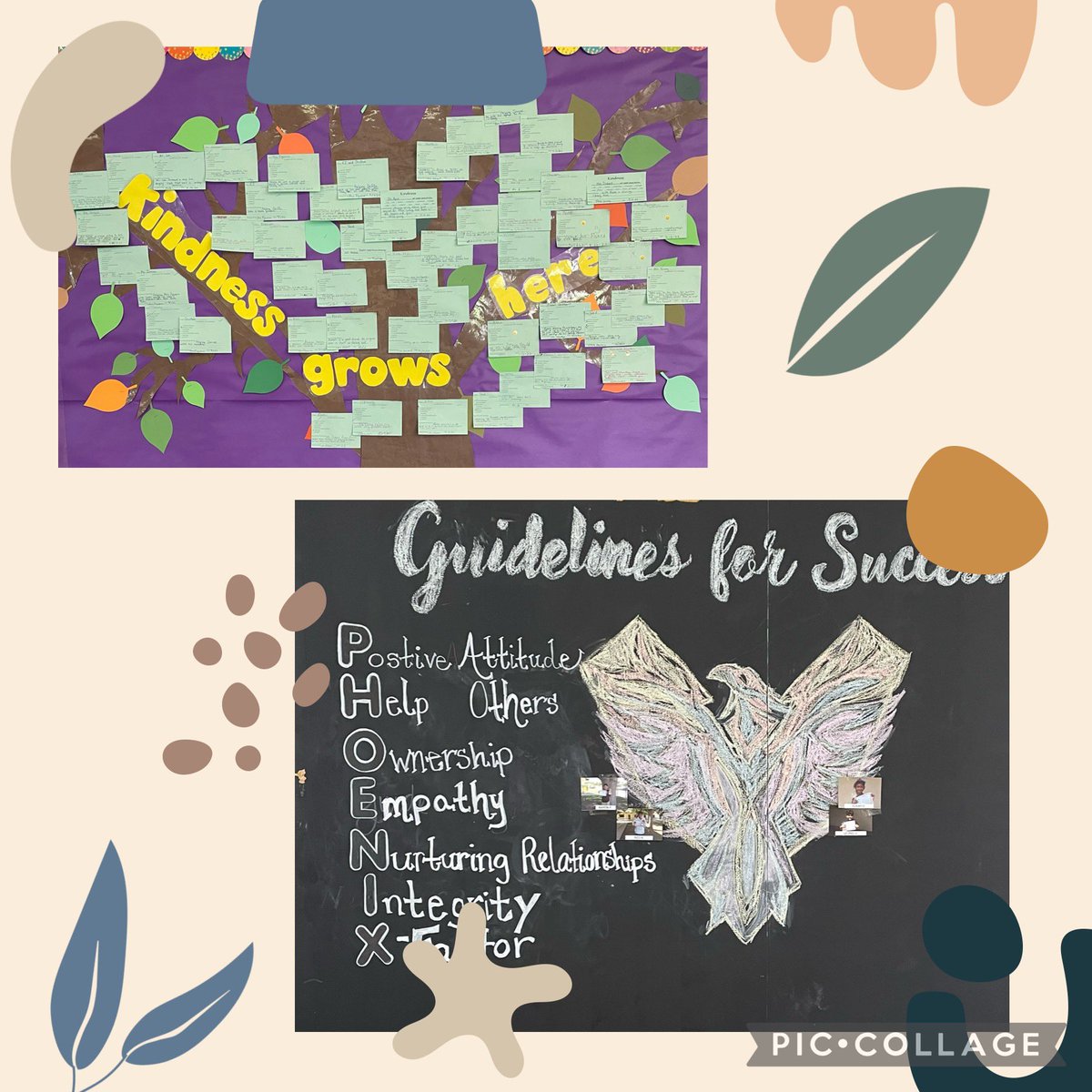 FUSD_Phoenix's tweet photo. #kindness #grows here! 🌱 #success Keep up the great work!! https://t.co/Z0T0EBbE5b