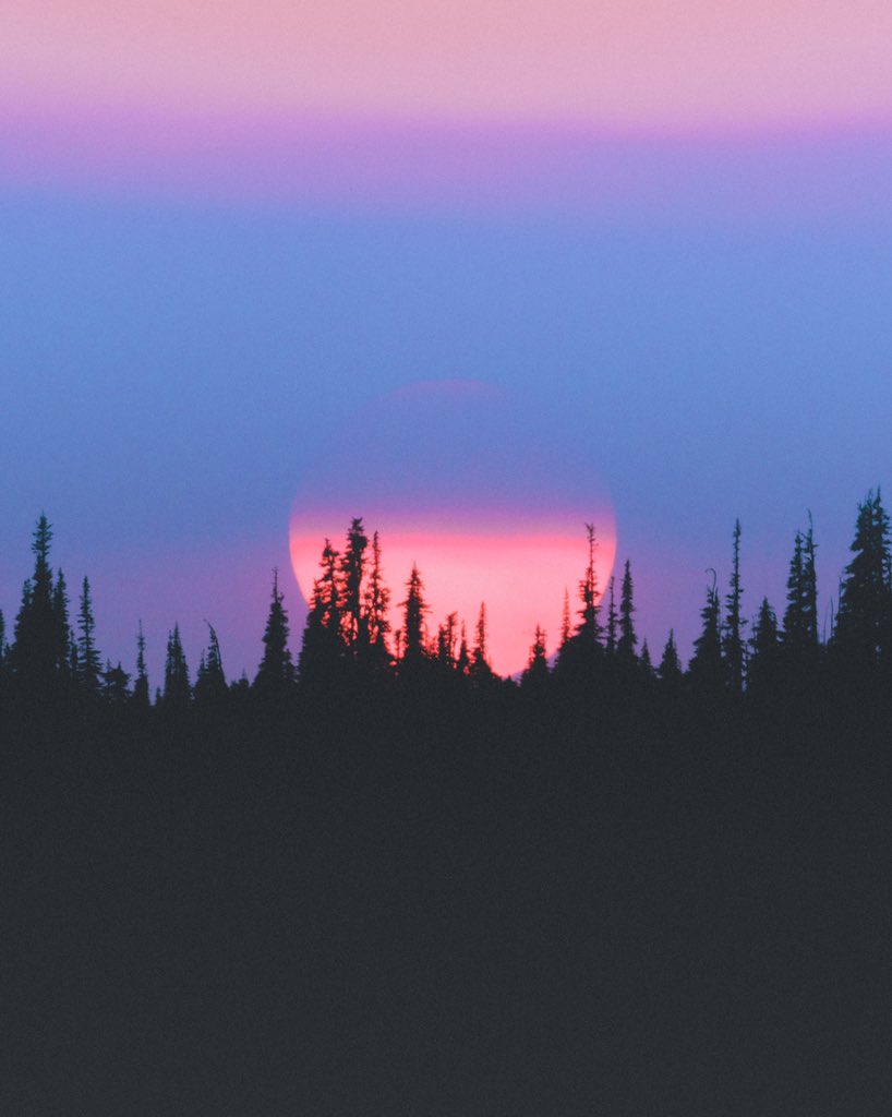 “Steady Sun” is now live on <a href="/SuperRare/">SuperRare</a>