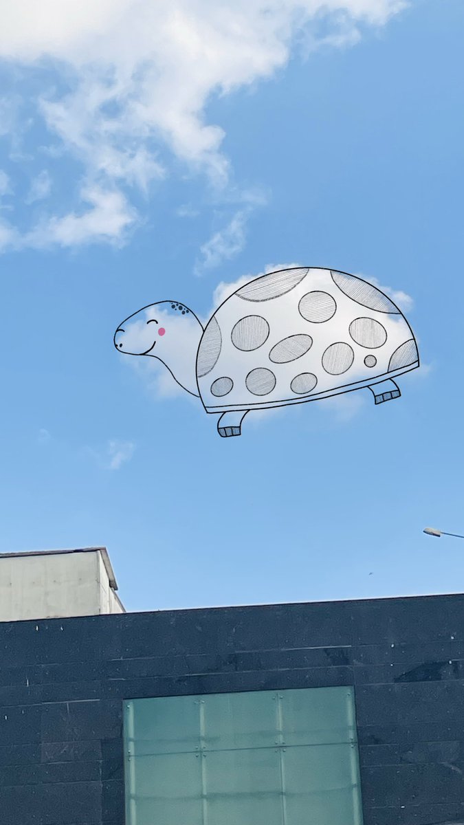 rishfishtish's tweet photo. shell yeah 🐢 https://t.co/oZuGf2v2de