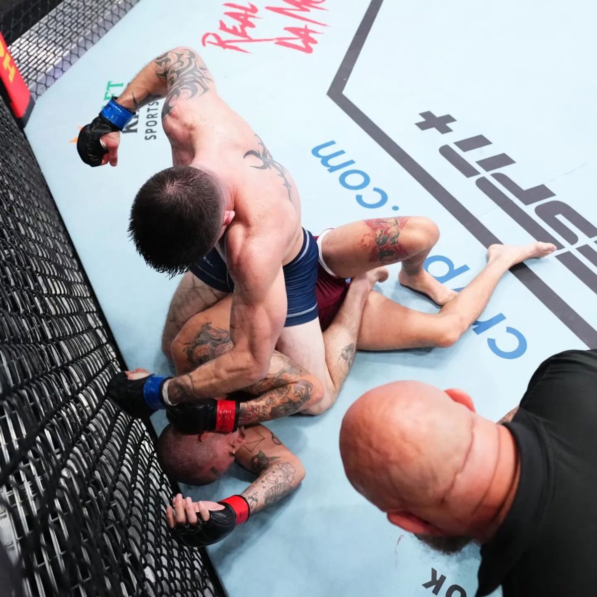 SpectationNet's tweet photo. That feeling when a UFC contract is secured ✅
#SpectationSports https://t.co/JjNtbS42Ha