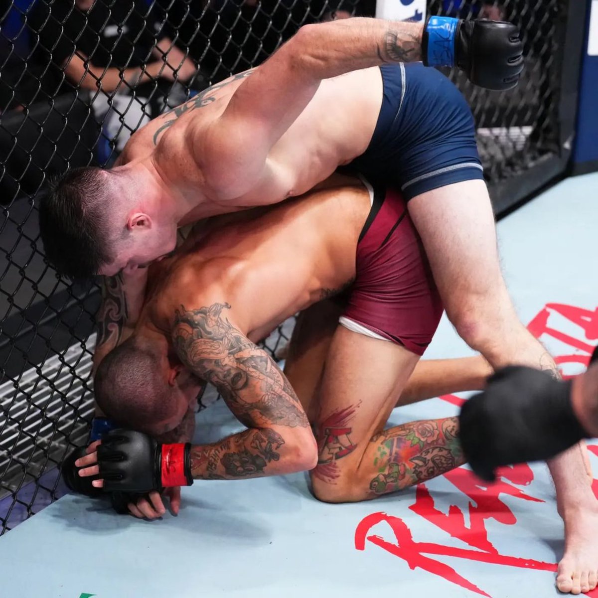 SpectationNet's tweet photo. That feeling when a UFC contract is secured ✅
#SpectationSports https://t.co/JjNtbS42Ha