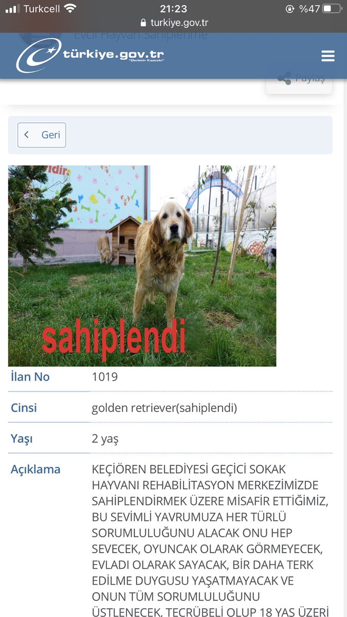 türkiye.gov.tr’de barınaklarda sahiplenilmeyi bekleyen hayvanların bilgileri ve fotoğrafları var. Birini seçip sahiplenebilirsiniz. Çok güzel hizmet, kullanmanızı öneririm