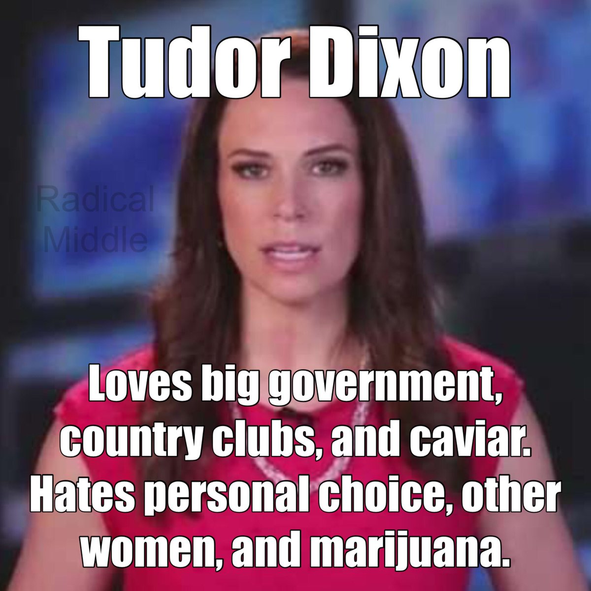 RadicalMiddles's tweet photo. @raisedbedsoil @GovWhitmer Like when she championed the legal marijuana industry the @MIGOP persecuted for decades? https://t.co/MLl6pljaGf