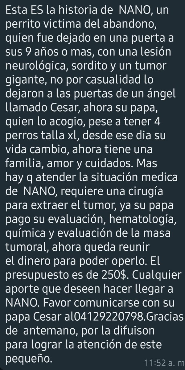 PerroUsuario's tweet photo. RT @maritesotelo: Rt por favor.
La historia de #NANO, un perrito victima del abandono, quien fue dejado en una puerta a sus 9 años o más con una lesión. Para info ☎️ 04129220798 su papá Cesar. Gracias de antemano para lograr la atención de este pequeño.
 https://t.co/MSwRvQpO6I