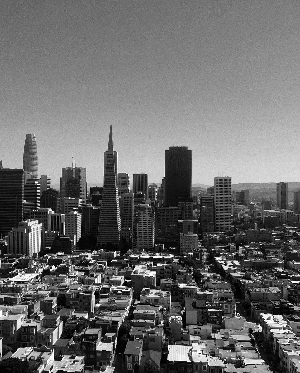 Bianca Foscht tweet media