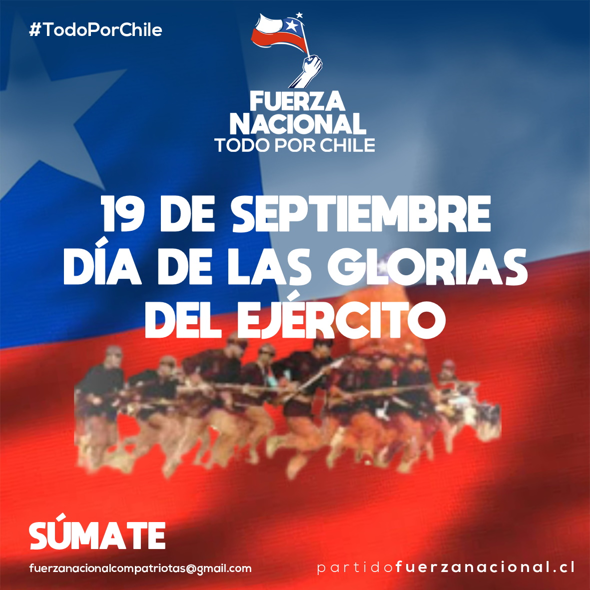 Fuerza Nacional Chile tweet media