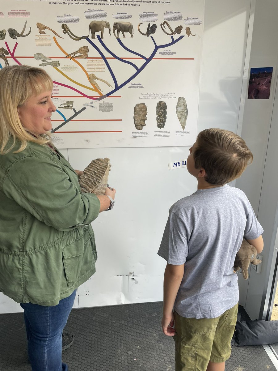 MJuricaCBS47's tweet photo. So much fun at #DinoFest @NHMLA yesterday! My future paleontologist was so excited to meet everyone and spend the day mapping his next set of Dino digs🦕🦖❤️ #mamasaurus #futurepaleontologist https://t.co/poQskfrMvR