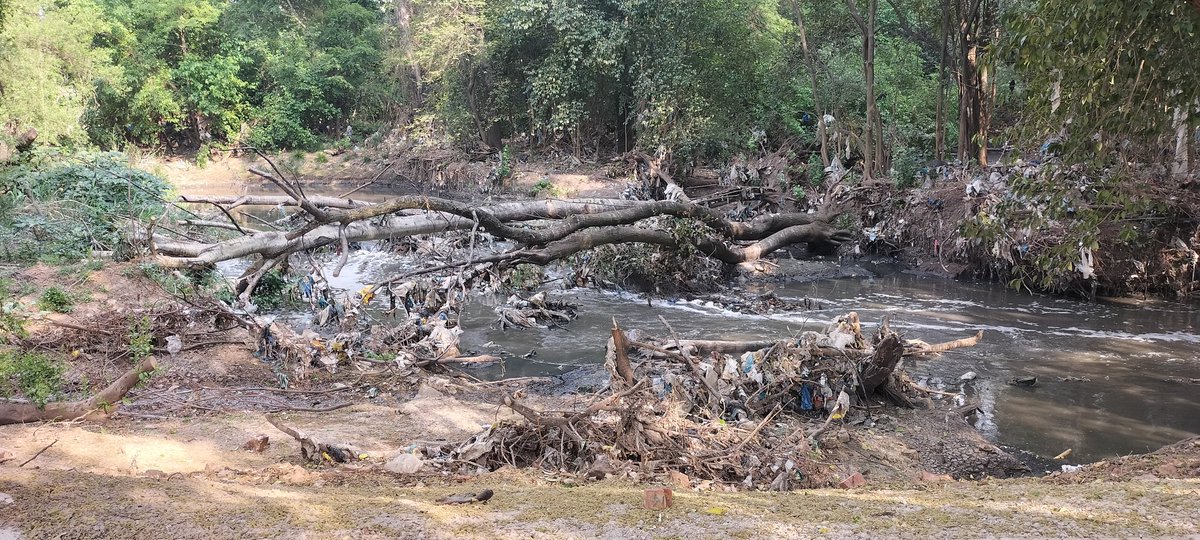 Hennops River Revival tweet media