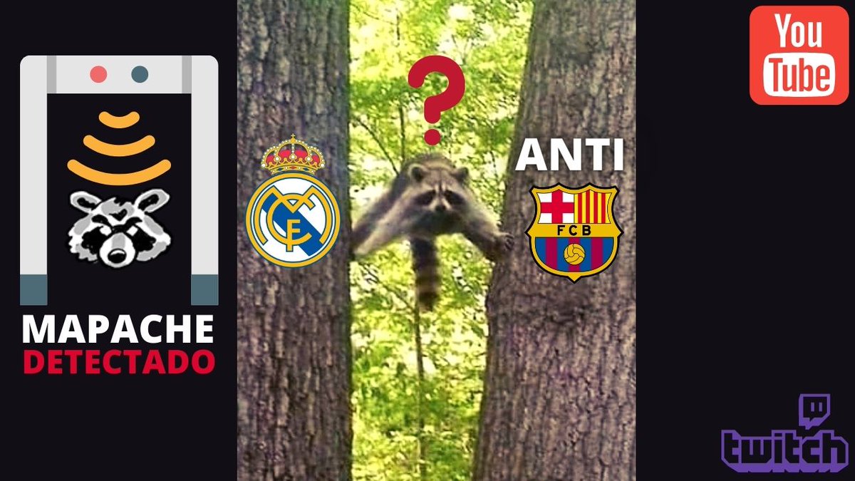 GloboIcaro's tweet photo. Cuando entra un Mapache en el chat El Balón de Ícaro:
#mapachismo https://t.co/p9EIQzZUXo