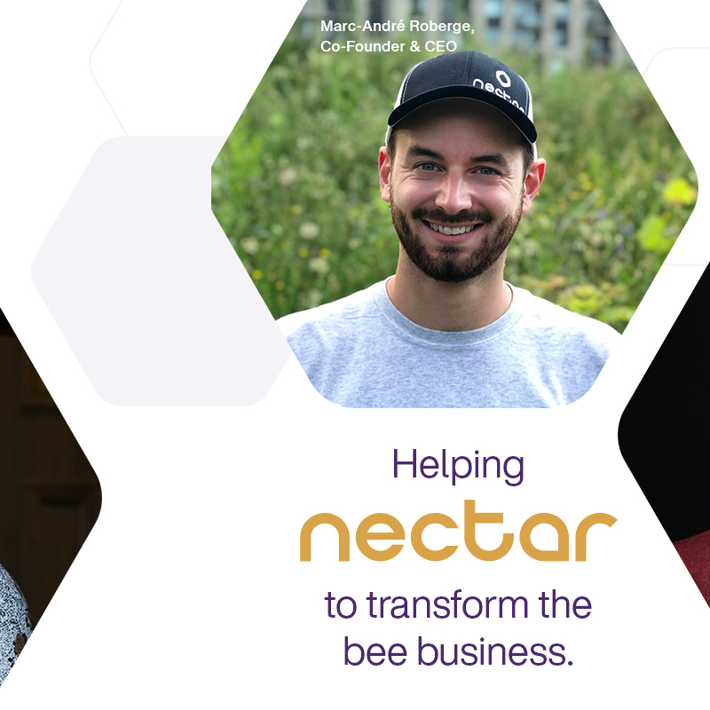 TELUS's tweet photo. Our $100-million Pollinator Fund for Good is one of the world’s largest corporate social impact funds. Visit https://t.co/DPnlLlGgc7 to learn more.