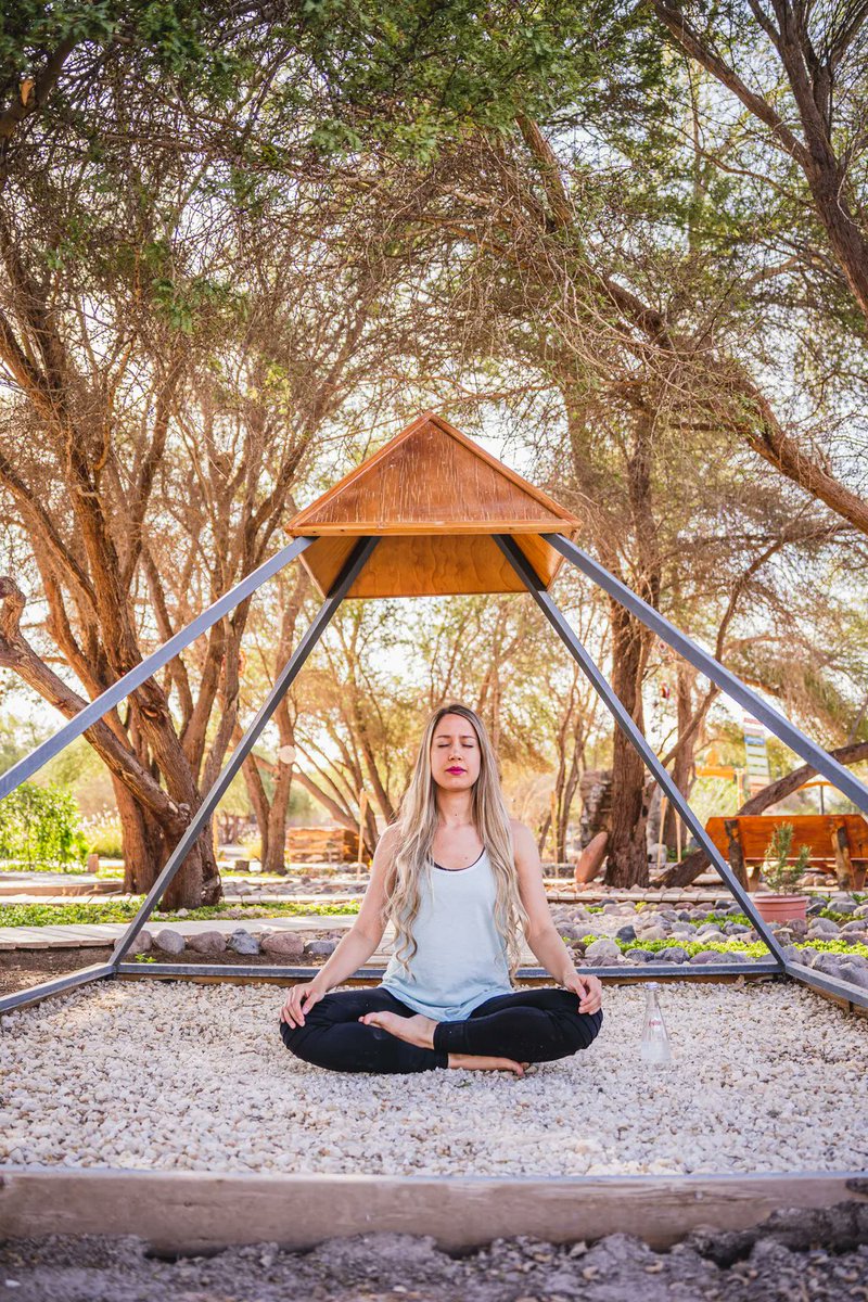 tantakuyeco's tweet photo. Ya comenzamos a notar que se acerca Primavera con ese verde especial en nuestros Tamarugos, las aves que hicieron sus nidos en nuestro hotel con sus cánticos y los cambios de temperatura.
¿Ya conoces Tantakuy?
#tarapaca #iquique #tamarugal #pampa #extremonorte https://t.co/iI60ipSg0C