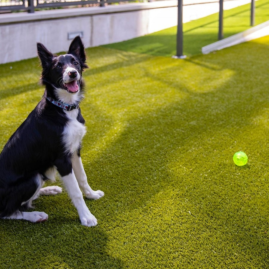 NationalRealEstateDevelopment tweet media