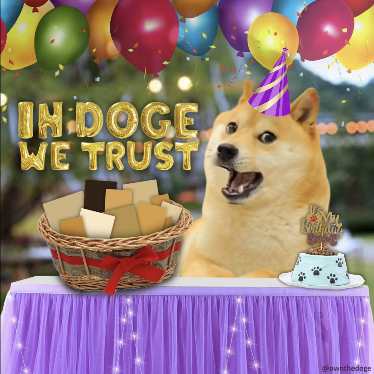 Own The Doge 🐶🖼 tweet media