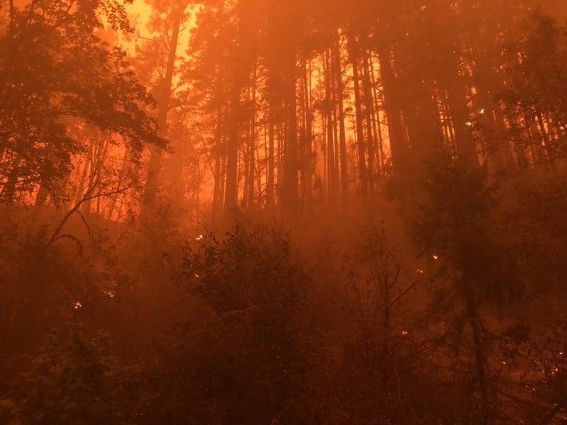 ForestServiceNW's tweet photo. During #NationalClimateWeek we'll be showing what @forestservice is doing to counteract:
--Wildfire
--Flooding
--Loss of snow pack & glaciers
--Tree mortality
--Loss of winter recreation opportunities
--Warming stream temps
Follow along as we explore these challenges together https://t.co/hpGhsibH3Z