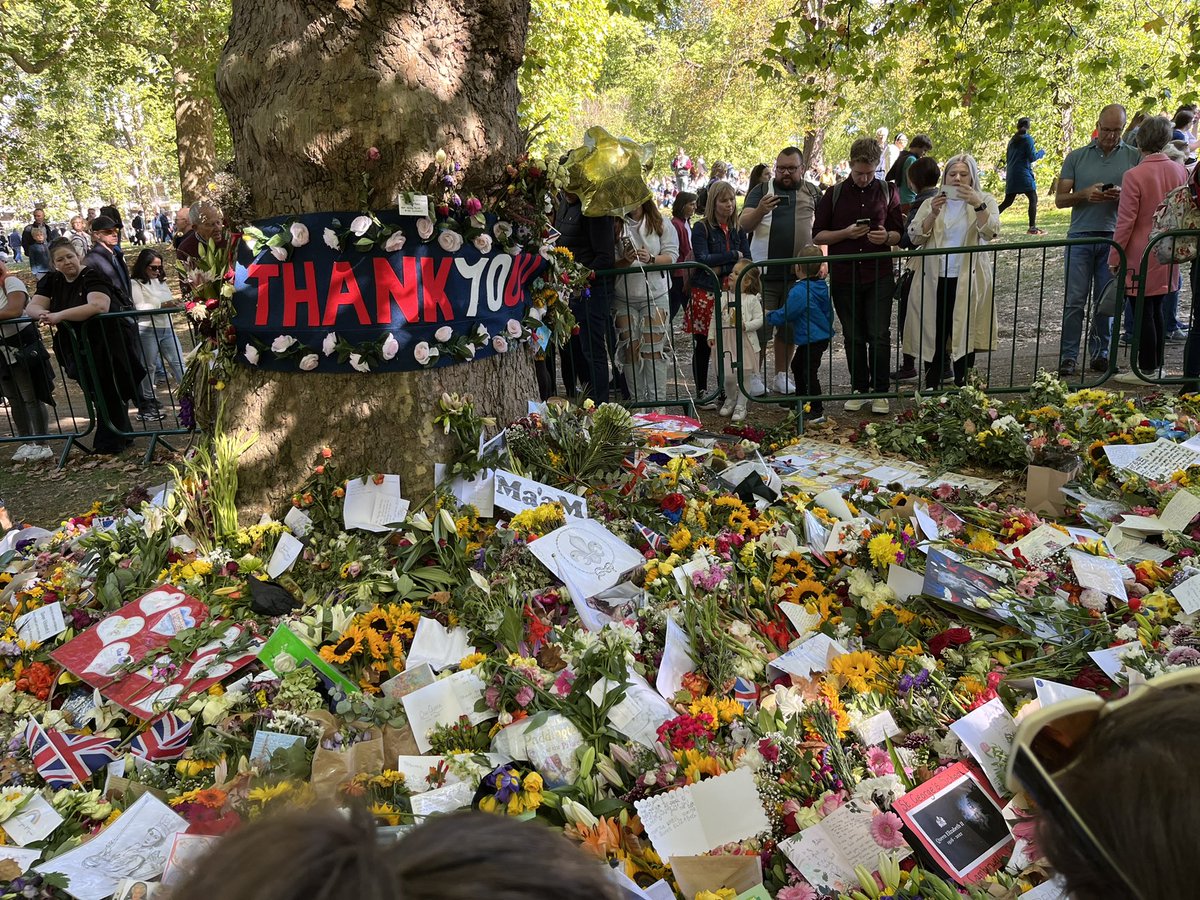 LongfordParkSch's tweet photo. Flowers laid in Green Park in memory of HM Queen Elizabeth II on behalf of @LongfordParkSch @GLFSchools https://t.co/30aFY6bLrZ