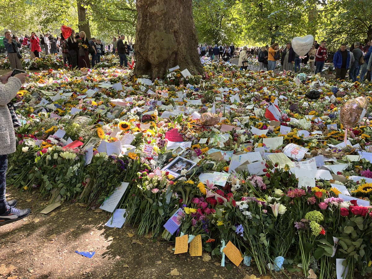 LongfordParkSch's tweet photo. Flowers laid in Green Park in memory of HM Queen Elizabeth II on behalf of @LongfordParkSch @GLFSchools https://t.co/30aFY6bLrZ