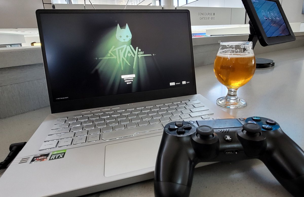 I'm sure there are worse ways to travel 😅 

#stray #asus #amd