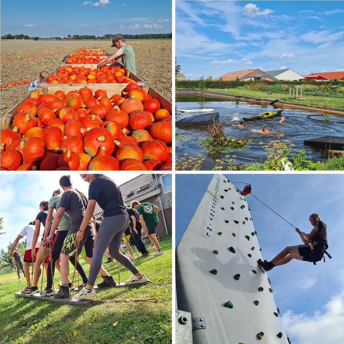 warmonderhofBD's tweet photo. 137 EERSTEJAARS KIEZEN VOOR TOEKOMST IN DE LANDBOUW
Begin september hebben we 137 nieuwe studenten verwelkomd, waarvan 101 in de BBL-opleiding en 36 eerstejaars in de voltijdopleiding. Daarmee telt de school nu in totaal bijna driehonderd studenten. https://t.co/1Nw9xaO0NZ https://t.co/u6v9Ewmvh8