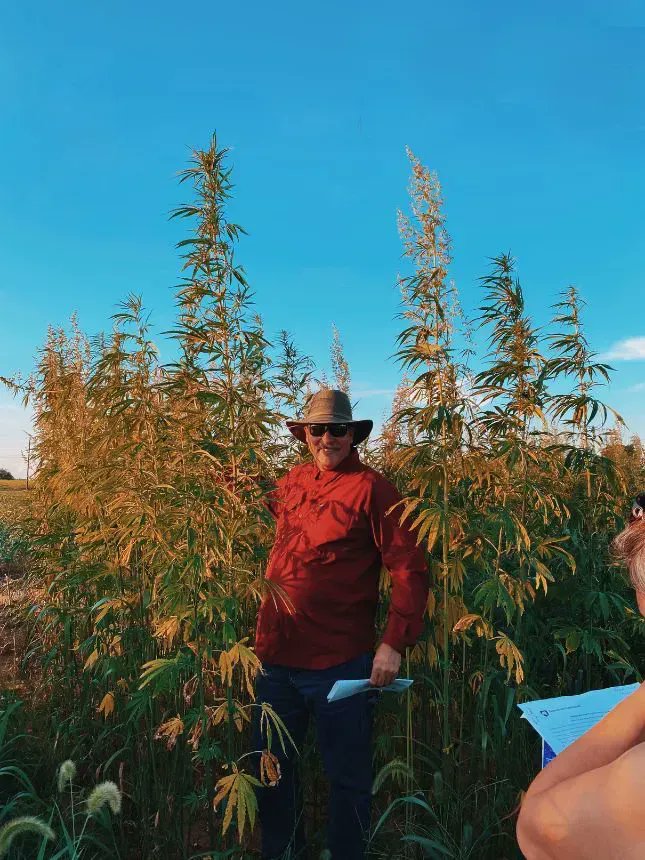 International Hemp tweet media