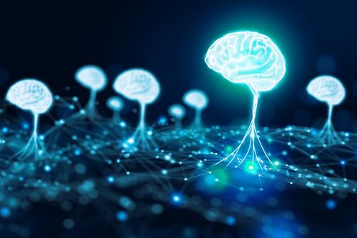 umtlSciences's tweet photo. Intelligence artificielle: un nouveau modèle informatique du développement du cerveau https://t.co/aPPLde7dqL https://t.co/9LKqHfi93m