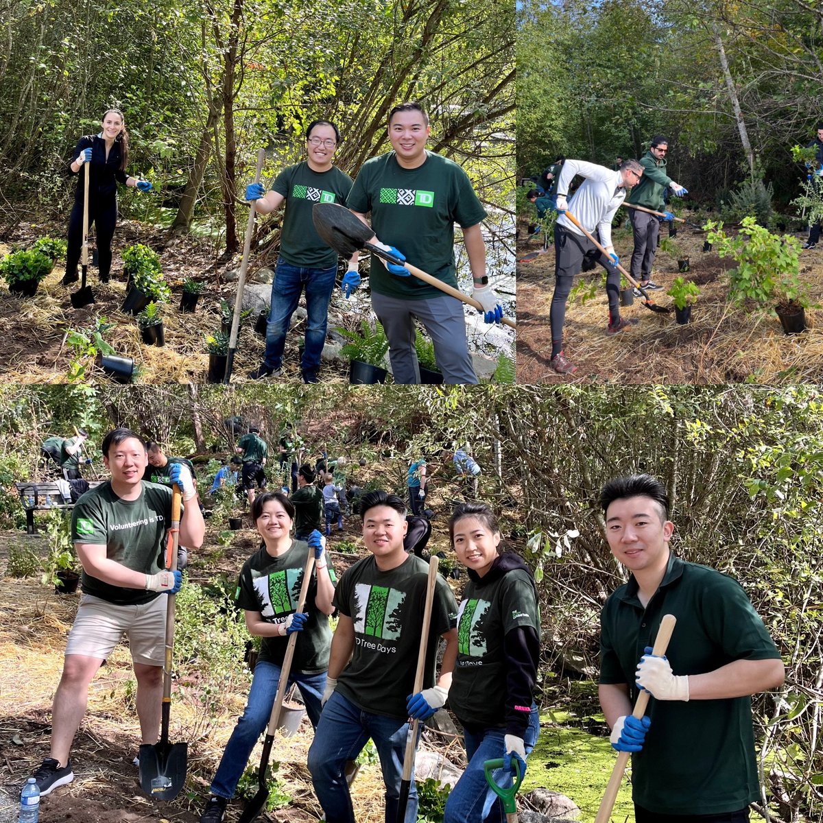 TD Tree-mendous Day is back! 🌱Thank you to all <a href="/TD_Canada/">TD (Canada)</a> volunteers for generous support of #TDFEF. We planted another 650 native trees and shrubs in Coquitlam BC which brings us one step closer towards #TDReadyCommitment of having 1 million trees planted by 2030! 🌲💚🌲💚
