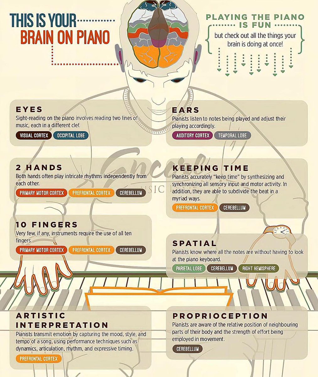 noteables's tweet photo. This is your brain on piano!
#MusicIsTheDifference #MusicWorks https://t.co/OAE0XBNG2s