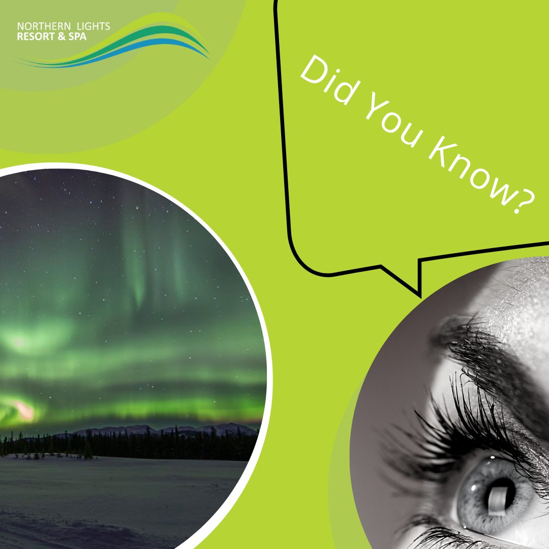 norlightsyukon's tweet photo. Did you know that the northern lights can occur at any time of the day? The only reason we can’t see them is that our eyes need darkness to be able to perceive them.

#seetheworld #nature #northernlights #yukonterritory https://t.co/CIMtmI52NZ