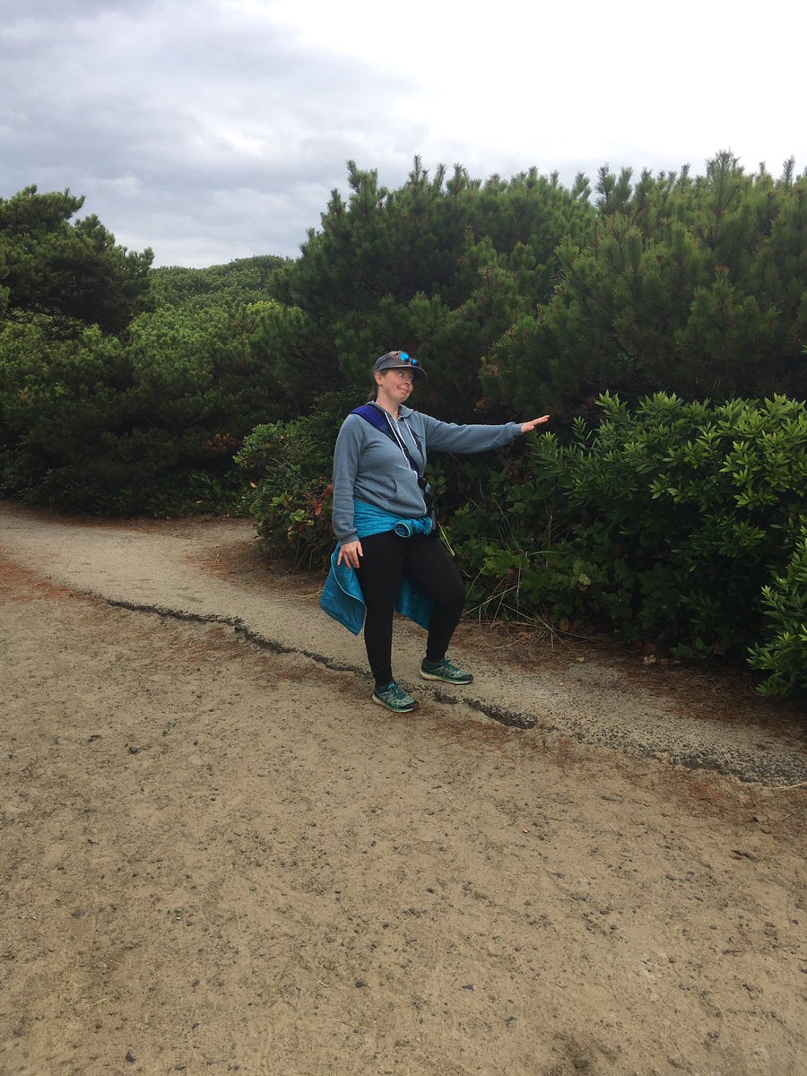 MustSeeBirds's tweet photo. *slaps roof of coastal chaparral*
This bad boy can fit so many Wrentits in it https://t.co/orPEYgQynk