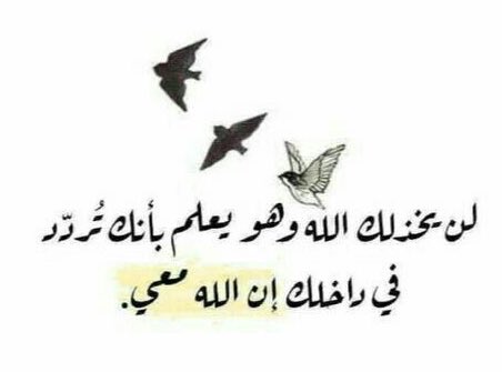 Eman__sh's tweet photo. سبحانه …😞🤍🕊 https://t.co/5tqEKXO8fX