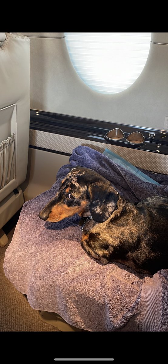 I don’t like leaving Sardinia ❤️😕