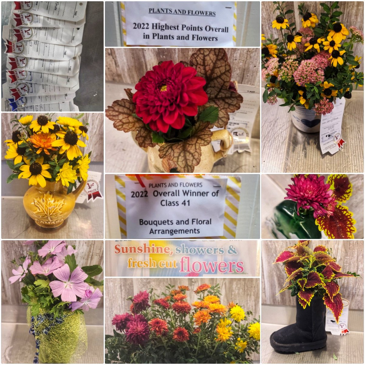 Sharon_Grose's tweet photo. Excited you betcha!!!
Overall high points in Plants & Flower
division @fergusfallfair.
Theme of 2022 Fair was
Sunshine , Showers & Fresh Cut Flowers.
I love gardening and making floral arrangements.
#FergusFallFair #AgFair #FallFair #countryfair #FlowersFromMyGarden https://t.co/RnyCyefOGR