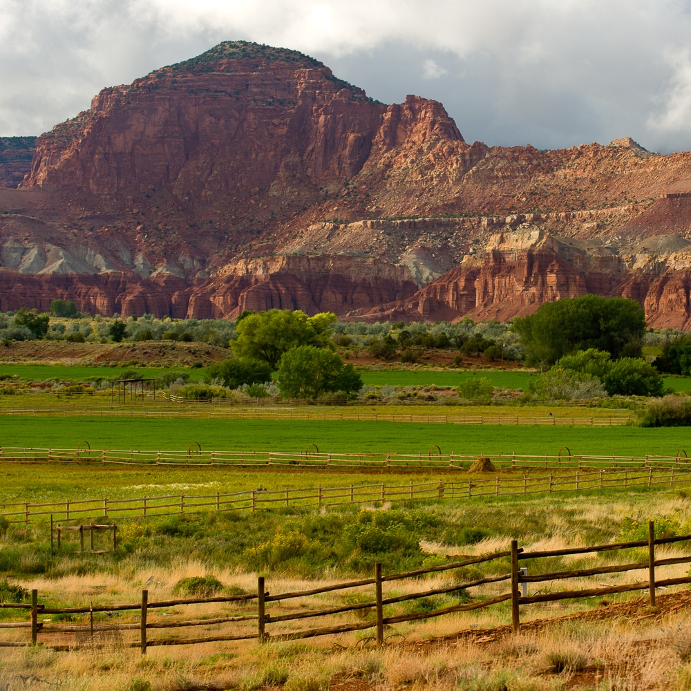 ettaplacecider's tweet photo. #LifeCapitolized #CapitolReefCountry
(and good apple-growing country too) https://t.co/S1cp0SGbcQ