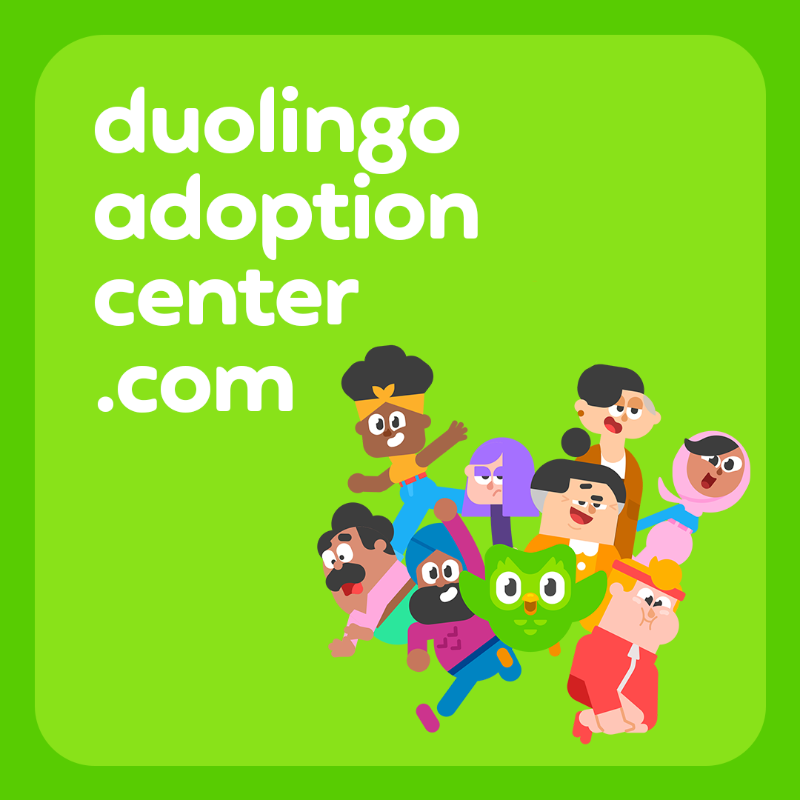 duolingo's tweet photo. Learning a language all on your own? ❌
 
Learning a language with a random family of 5 holding you accountable? ✔️
 
Get adopted into a Duolingo Family Plan with unused spots, and go further when you learn together. #DuolingoAdoptionCenter