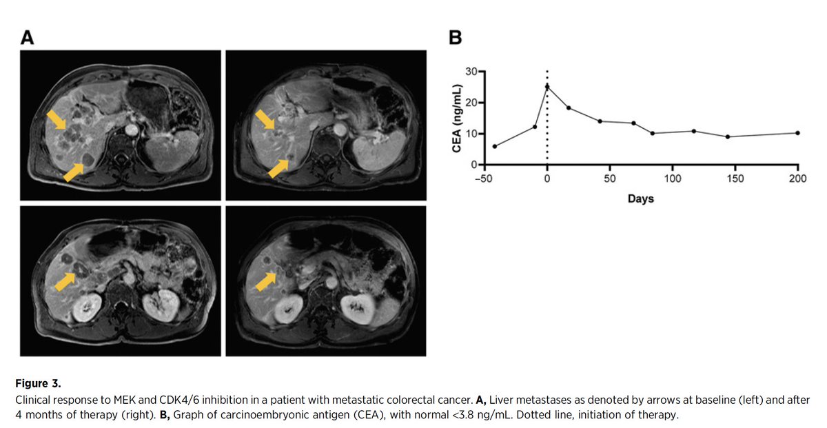 Arndt Vogel tweet media