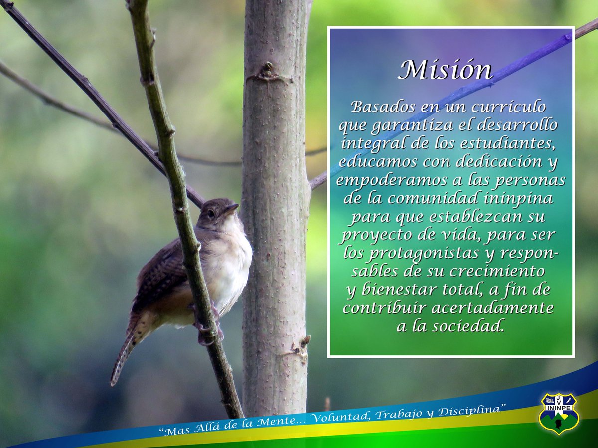ININPEJV's tweet photo. Recordamos siempre nuestra Misión institucional. https://t.co/jk0ogu7rND