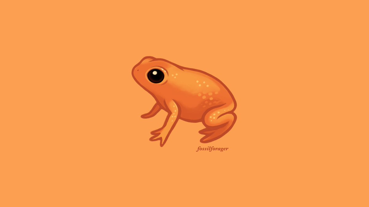 fossilforager's tweet photo. pumpkin toadlet 🎃✨ https://t.co/nLvAsdGGTO