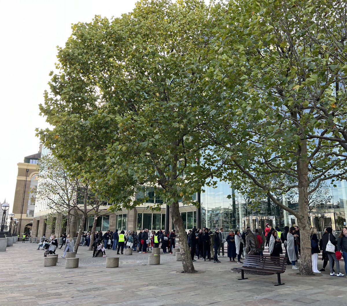 InizioBelleAme's tweet image. Benefited from the beautiful trees lining the route of #lyinginstatequeue  yesterday - made all difference 🌳💚 #TreeClub @ResponsePS