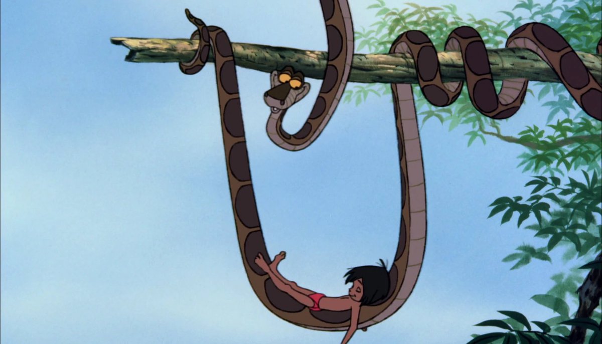 TheSavingDisco's tweet photo. Have you learned nothing from Mowgli? This came out in the 60’s man. https://t.co/HevW0feMN0