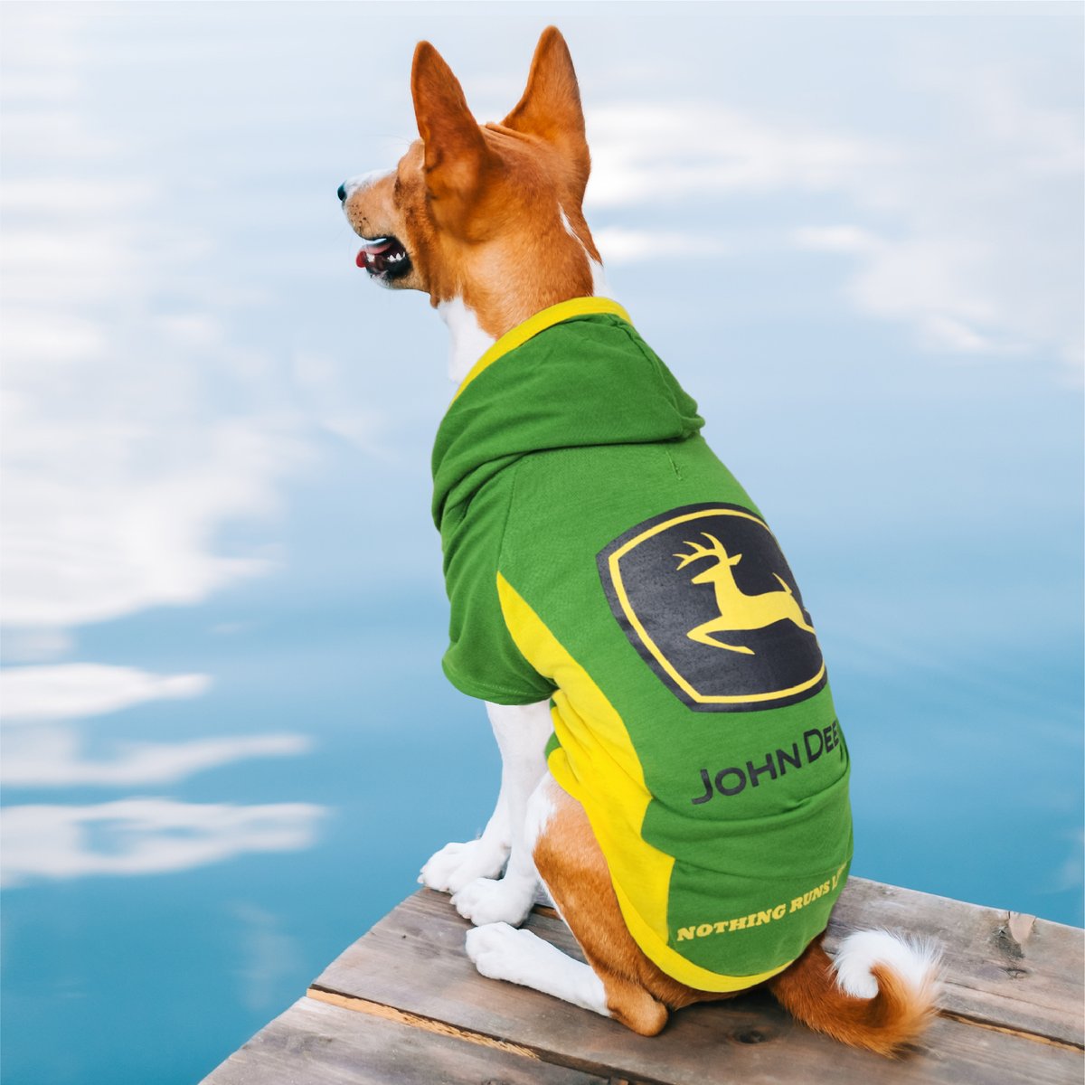 PetsFirstCompa1's tweet photo. Hey @JohnDeere #fans,
The #PetsFirst new Hoodies for #Dogs & #Cats is now available on #Amazon
Size Small & Large: https://t.co/yJVwSciPW2
Size Medium: https://t.co/u7U83CVc3y
#farmers #tractor #JohnDeere #CatsofTwittter #dogsoftwitter #shopping #Trending #Trends #love #family https://t.co/t0Vu6ZgCXs