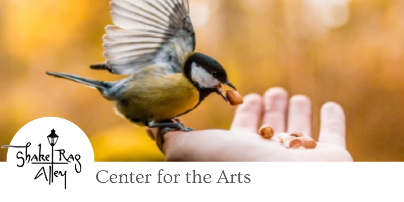 ShakeRagAlleyMP's tweet photo. A new issue of our Workshop Newsletter is here! Meet our new director of #education, make plans to harvest your #creativity at our fall workshops and programs, and get ready for A Ghostly Gathering. - https://t.co/BJpQqFCbhp

#shakeragalley #createwithus #fallequinox #wisconsin https://t.co/1VLcdVipwx