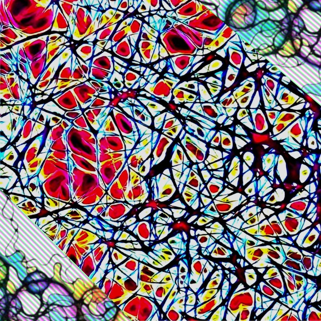 NeuroArts_World's tweet photo. Modern #NFT is more than just a #trend, it's about passion, giving you possibility to enjoy #Art on #SpiritualLevel. And this is why we care a lot about sharing with you #NeurographicArt and ensuring the #uniqueness of each piece due to #blockchain.
#NFTCommumity #art #trendy https://t.co/f5R9aumzVp