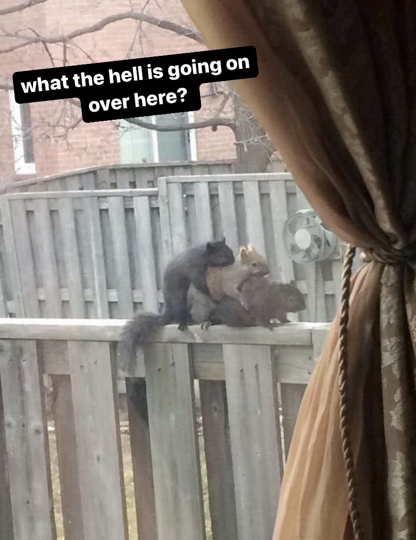 kira 👾 (@kirawontmiss) on Twitter photo 